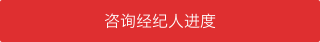 咨询经纪人进度